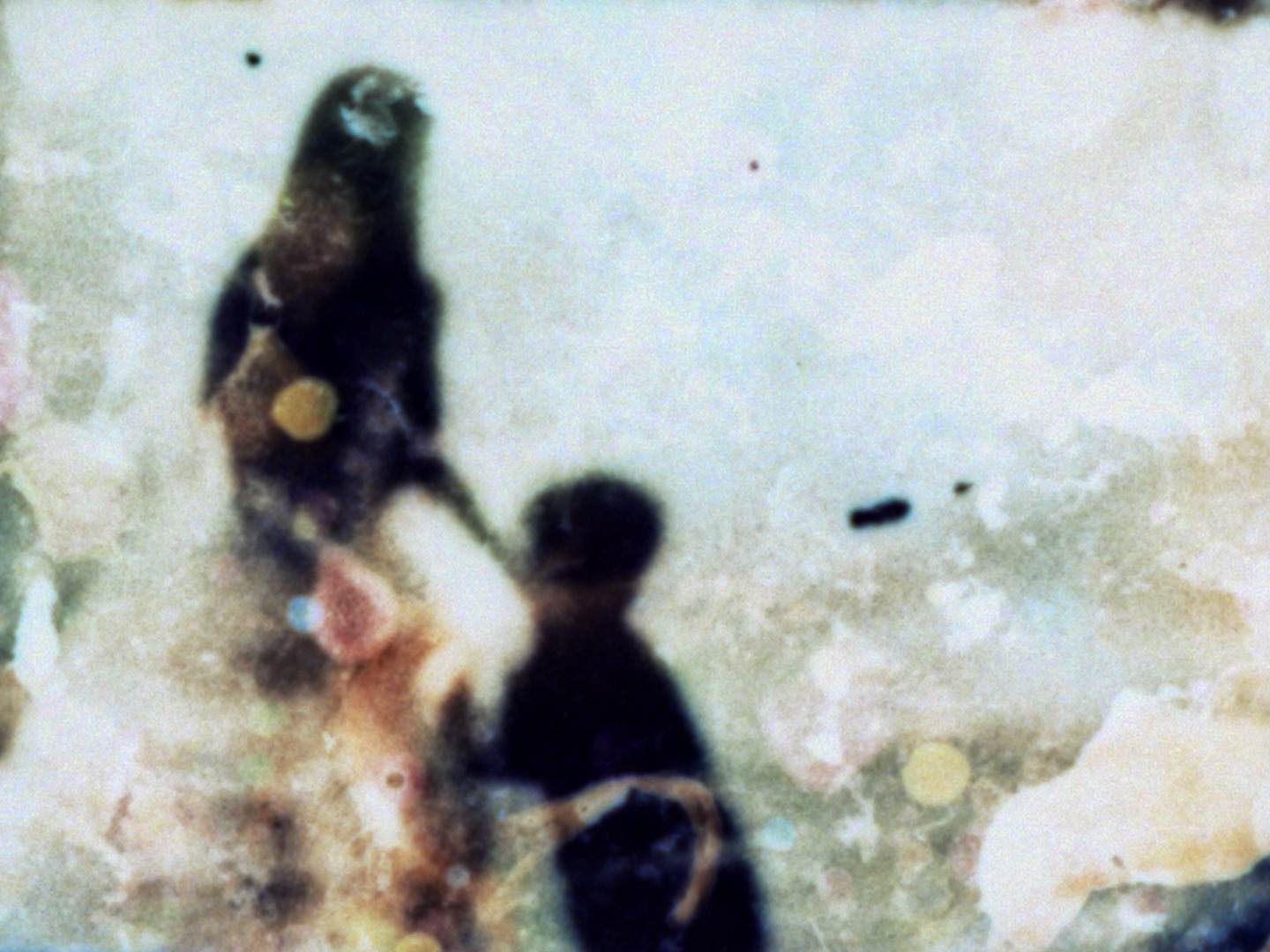 Orbites_Still_01_SarahSeene